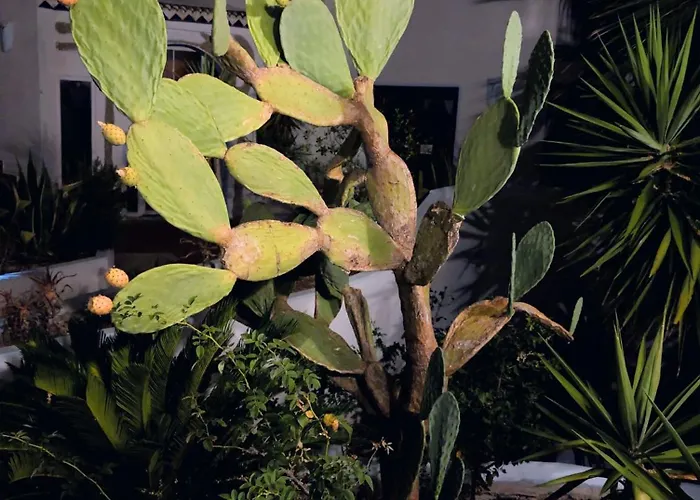 Hotel Anima Rooms&pool - Con Piscina San Pasquale